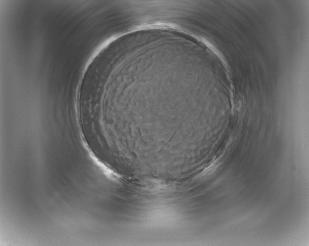 X0000066501054200604072236