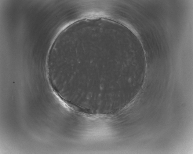 X0000066501056200604072236
