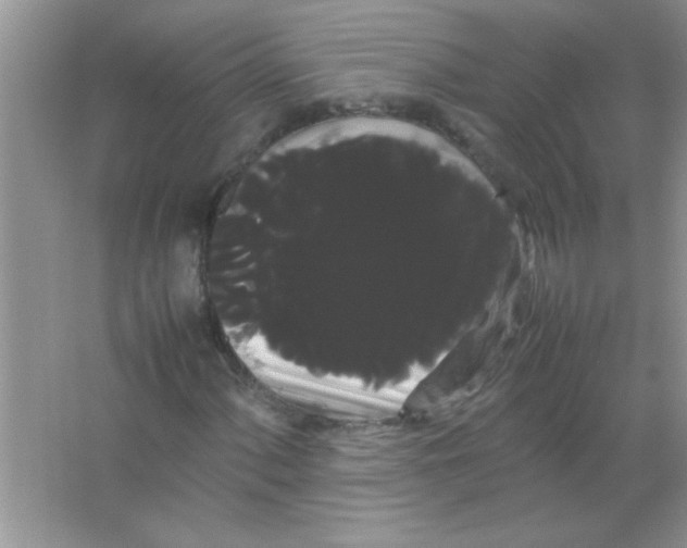 X0000066501060200604072235
