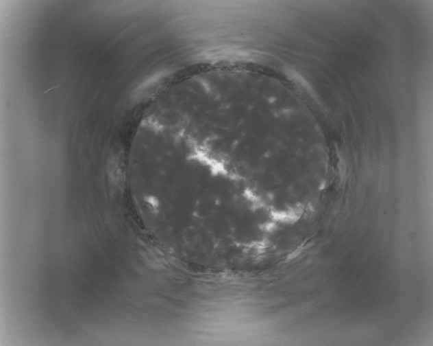 X0000066501063200604072235