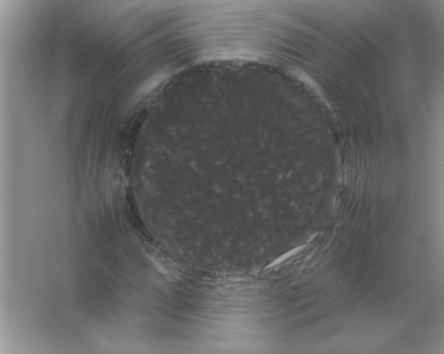 X0000066501064200604072235
