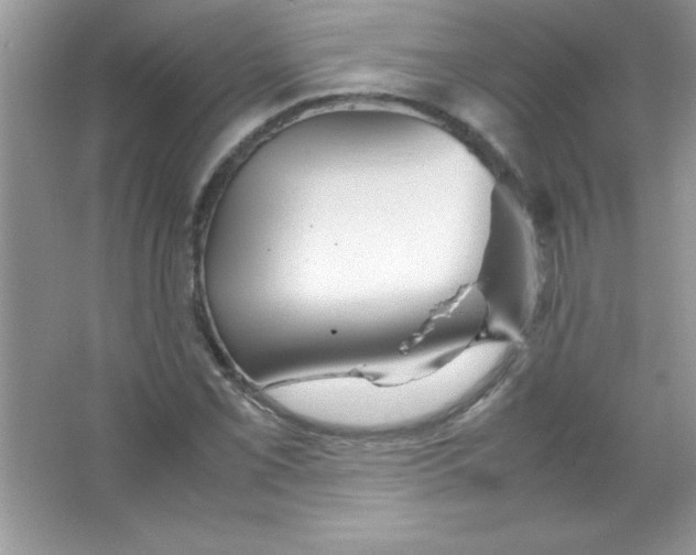X0000066501069200604072235