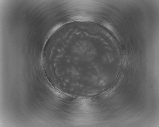 X0000066501074200604072235