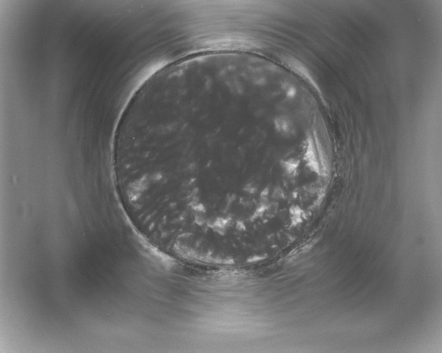 X0000066501087200604072234