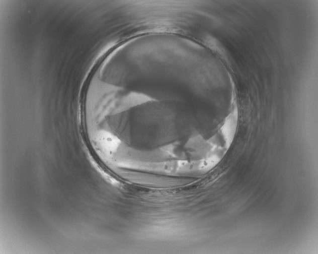 X0000066501095200604072234