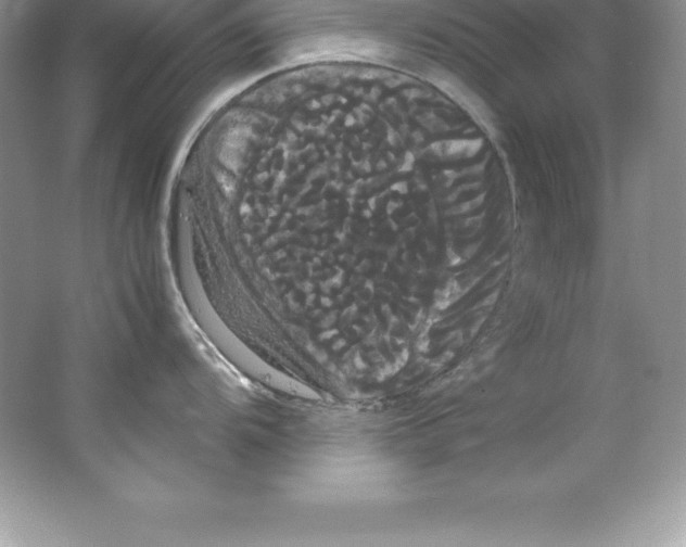 X0000066501104200604072234