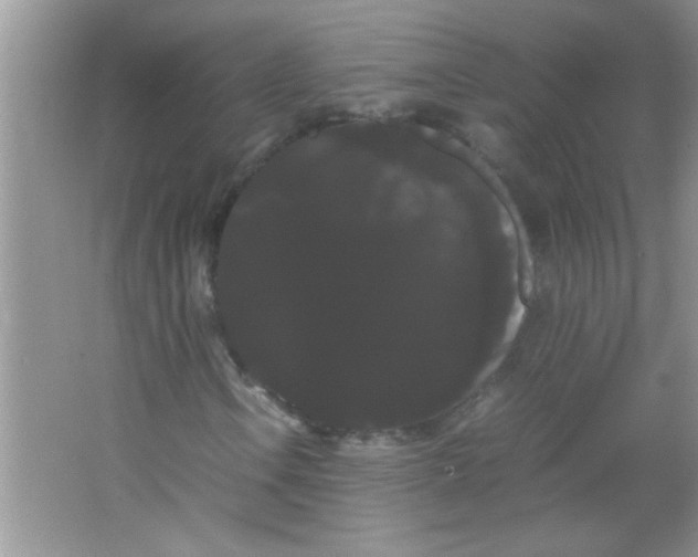 X0000066501106200604072233