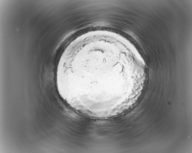 X0000066501115200604072234