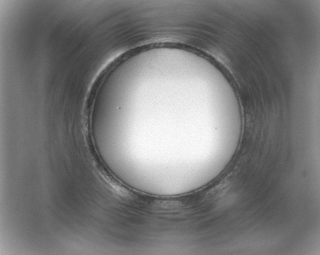 X0000066501119200604072234
