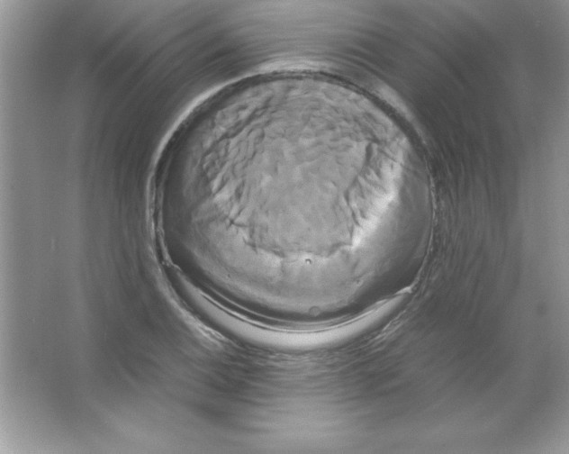 X0000066501124200604072234