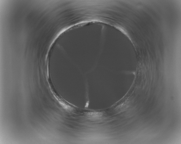 X0000066501127200604072234