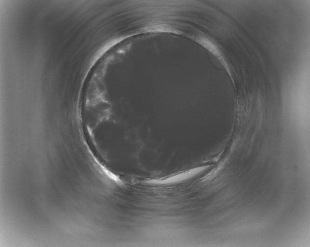 X0000066501141200604072234