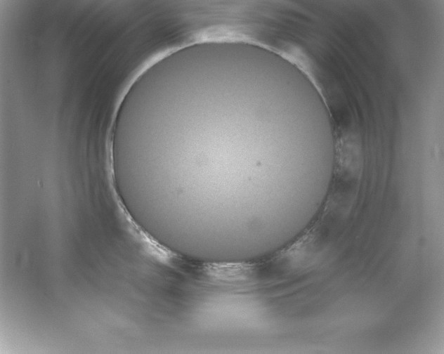 X0000066501150200604072234