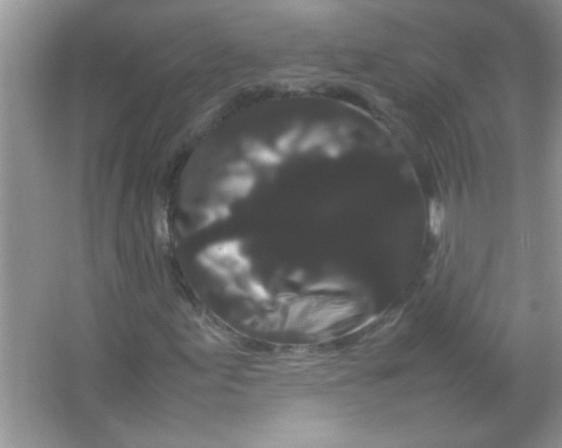 X0000066501155200604072233