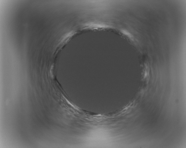 X0000066501157200604072233