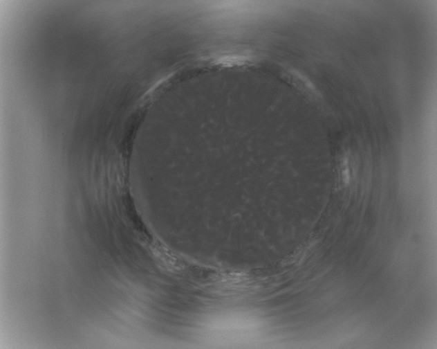X0000066501158200604072233