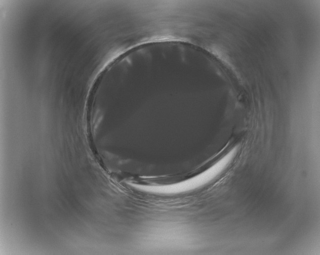X0000066501173200604072233