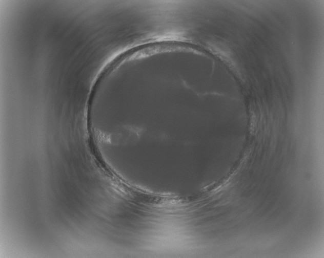 X0000066501174200604072233