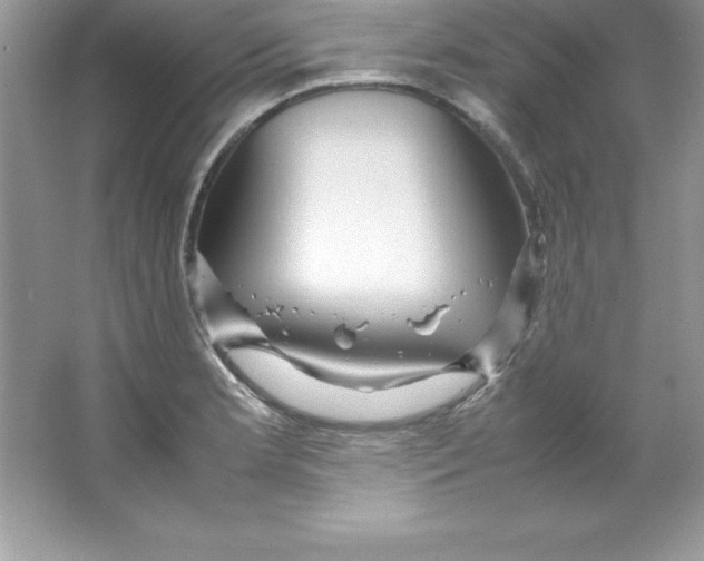X0000066501181200604072233