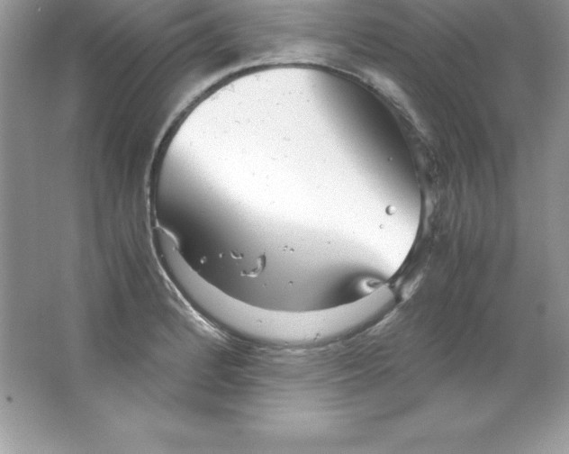 X0000066501184200604072233