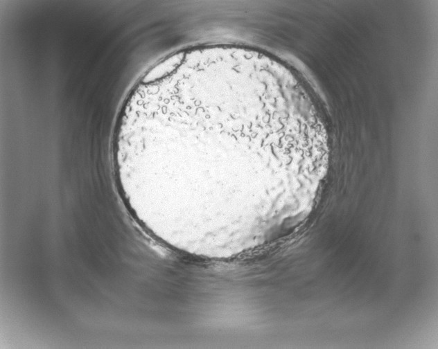 X0000066501191200604072233