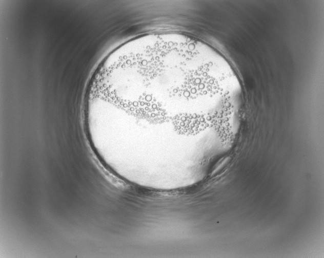 X0000066501195200604072233