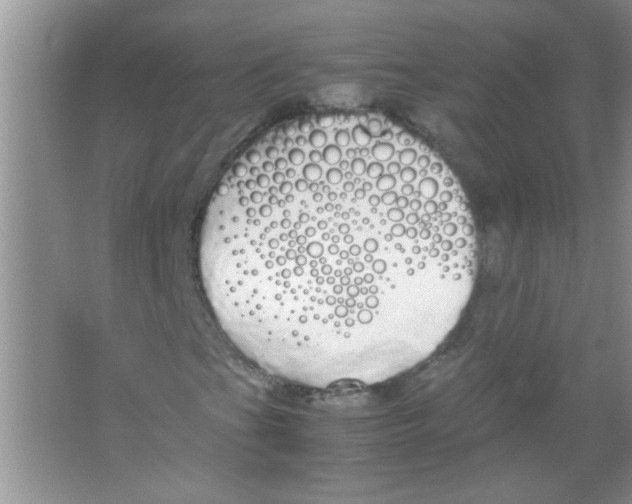 X0000066501201200604072232