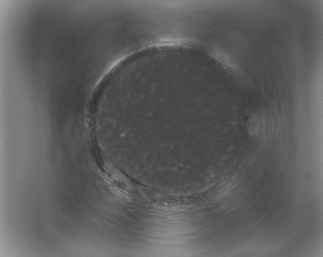 X0000066501208200604072232
