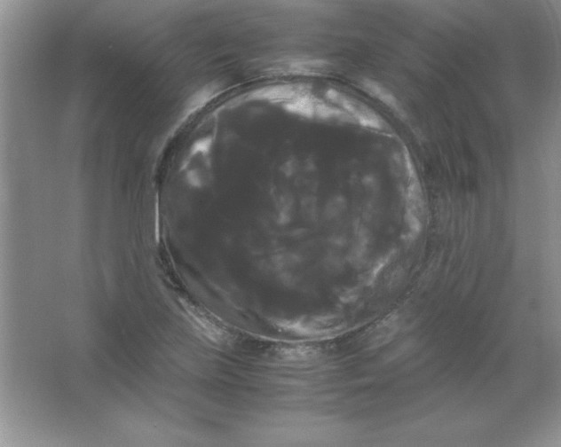 X0000066501219200604072232