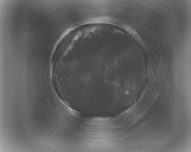 X0000066501224200604072232