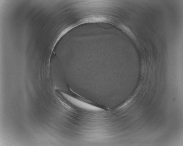 X0000066501226200604072232