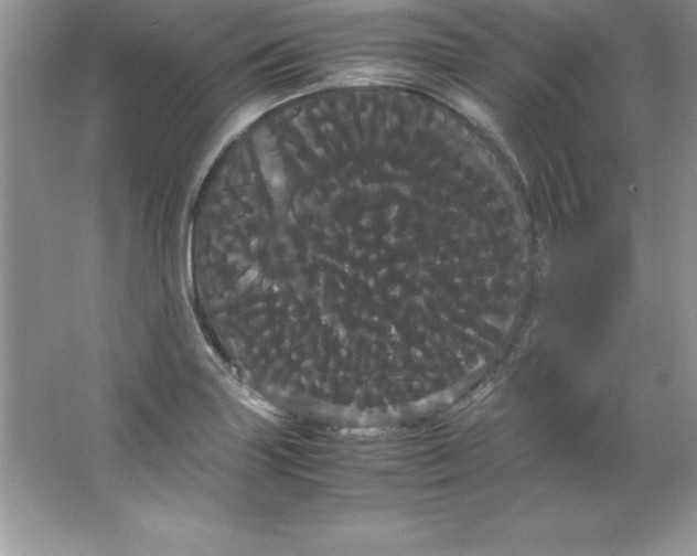 X0000066501227200604072232