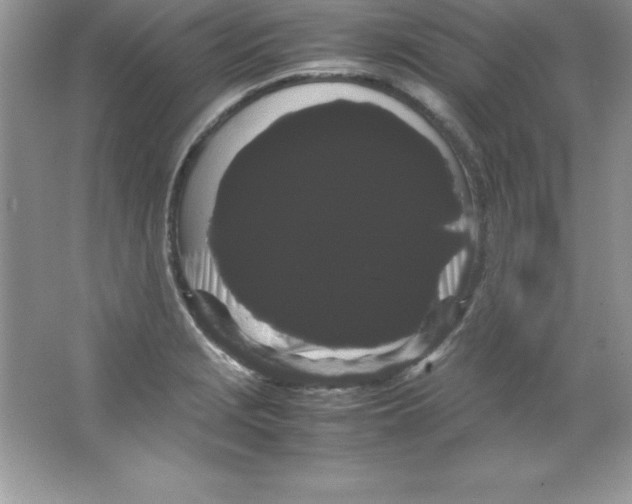 X0000066501229200604072232
