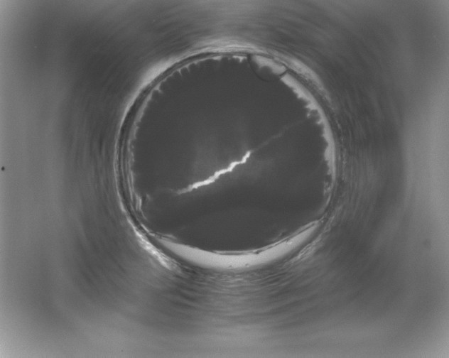 X0000066501231200604072232