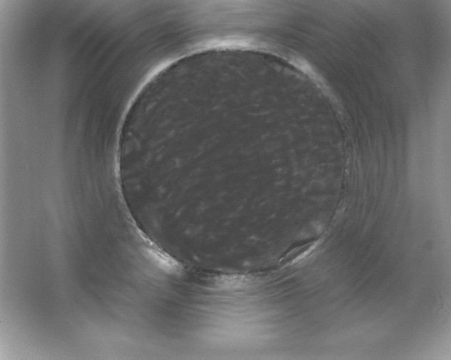 X0000066501232200604072232