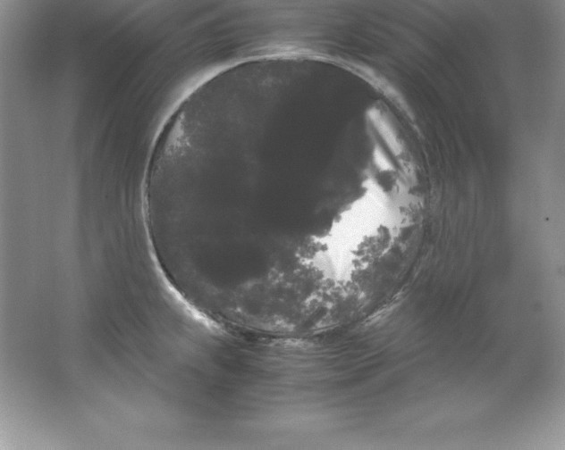 X0000066501239200604072232