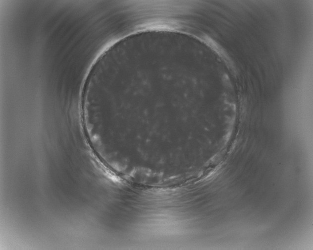 X0000066501240200604072232