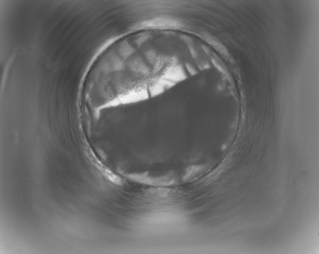 X0000066501248200604072233