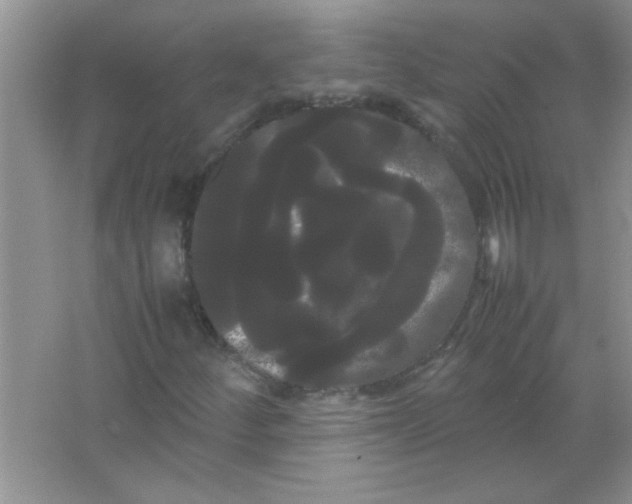 X0000066501252200604072232