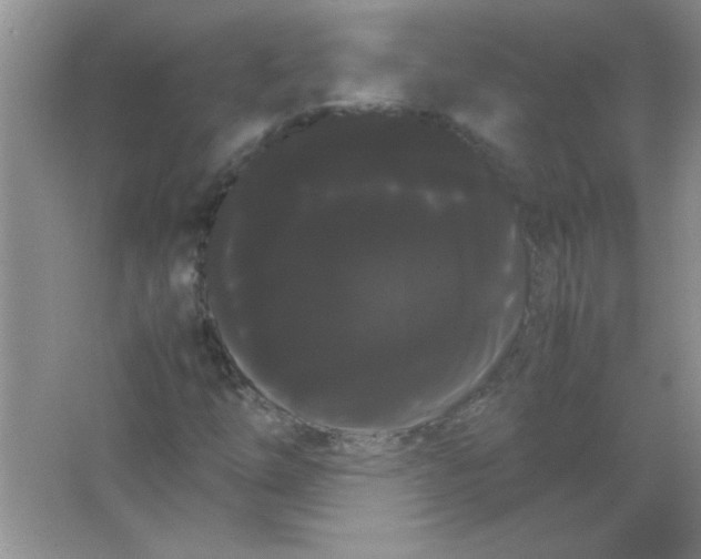 X0000066501254200604072232
