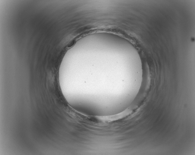 X0000066501257200604072232