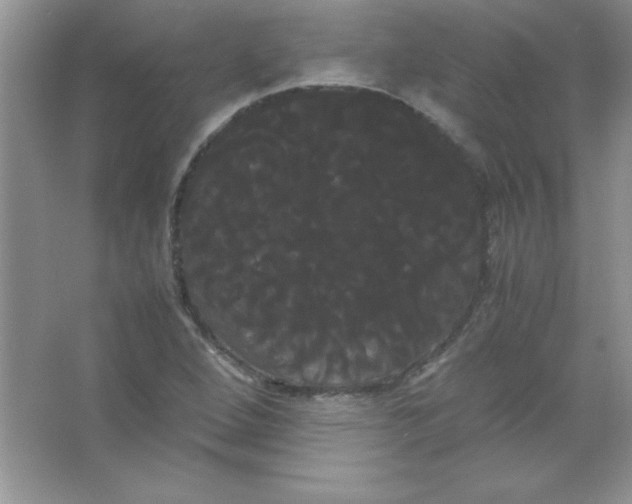 X0000066501264200604072231