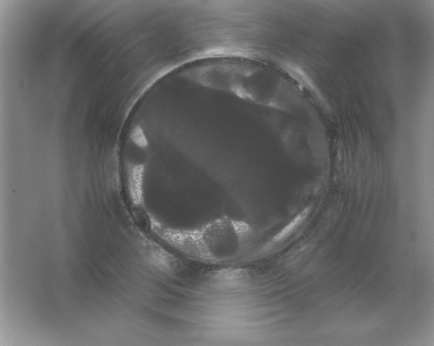 X0000066501268200604072231