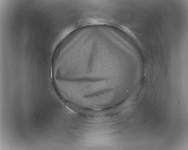 X0000066501269200604072231