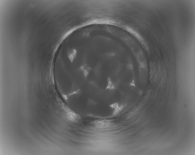 X0000066501272200604072231