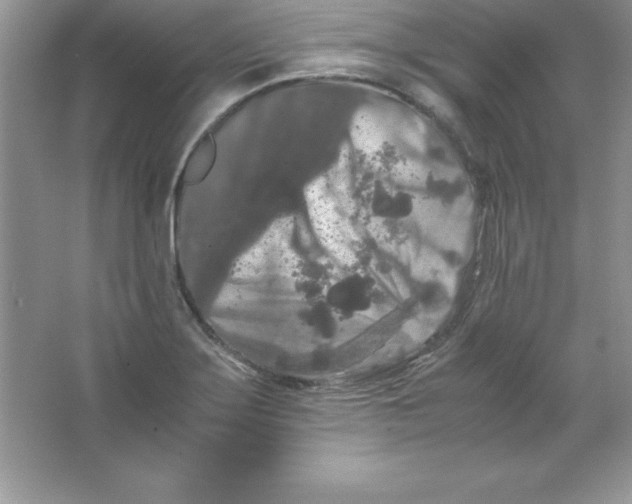 X0000066501275200604072231