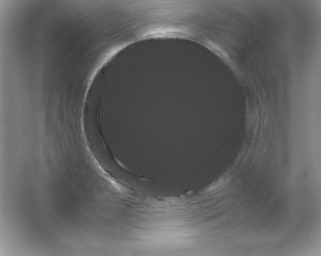 X0000066501277200604072231
