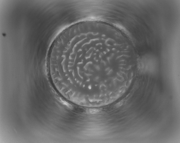X0000066501278200604072231