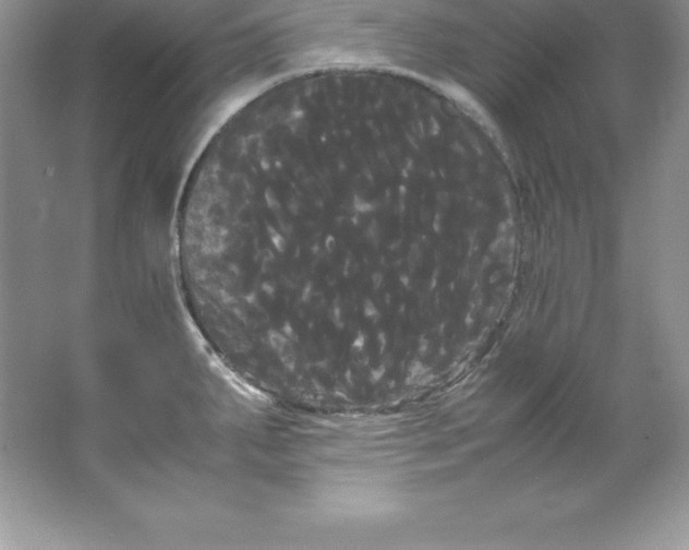 X0000066501287200604072231