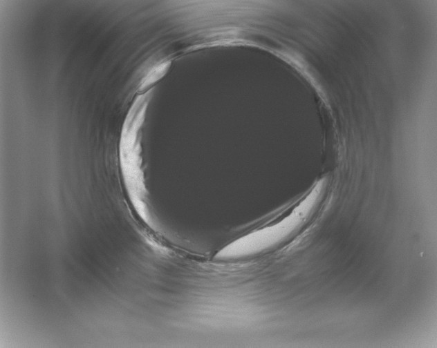 X0000066501289200604072231